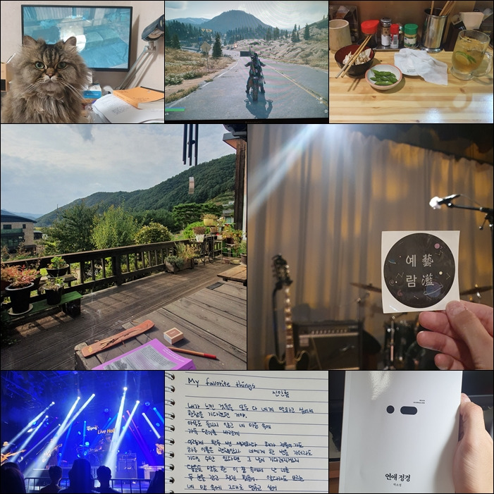 2020 연말정산 올해의 사생활_취미와취향.jpg