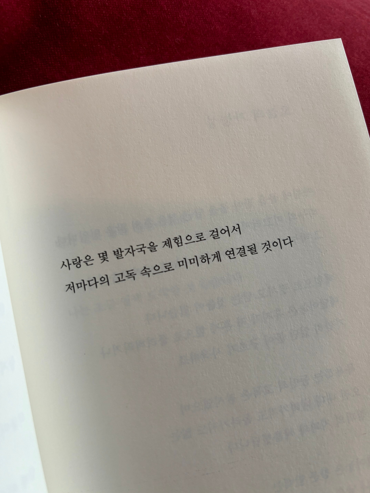 카지노 쿠폰