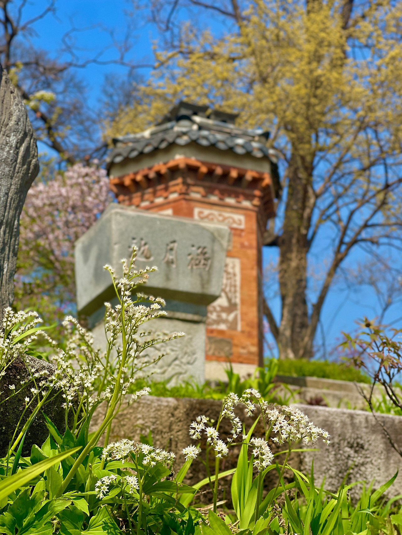 경복궁 교태전 아미산 봄 풍경03.jpg