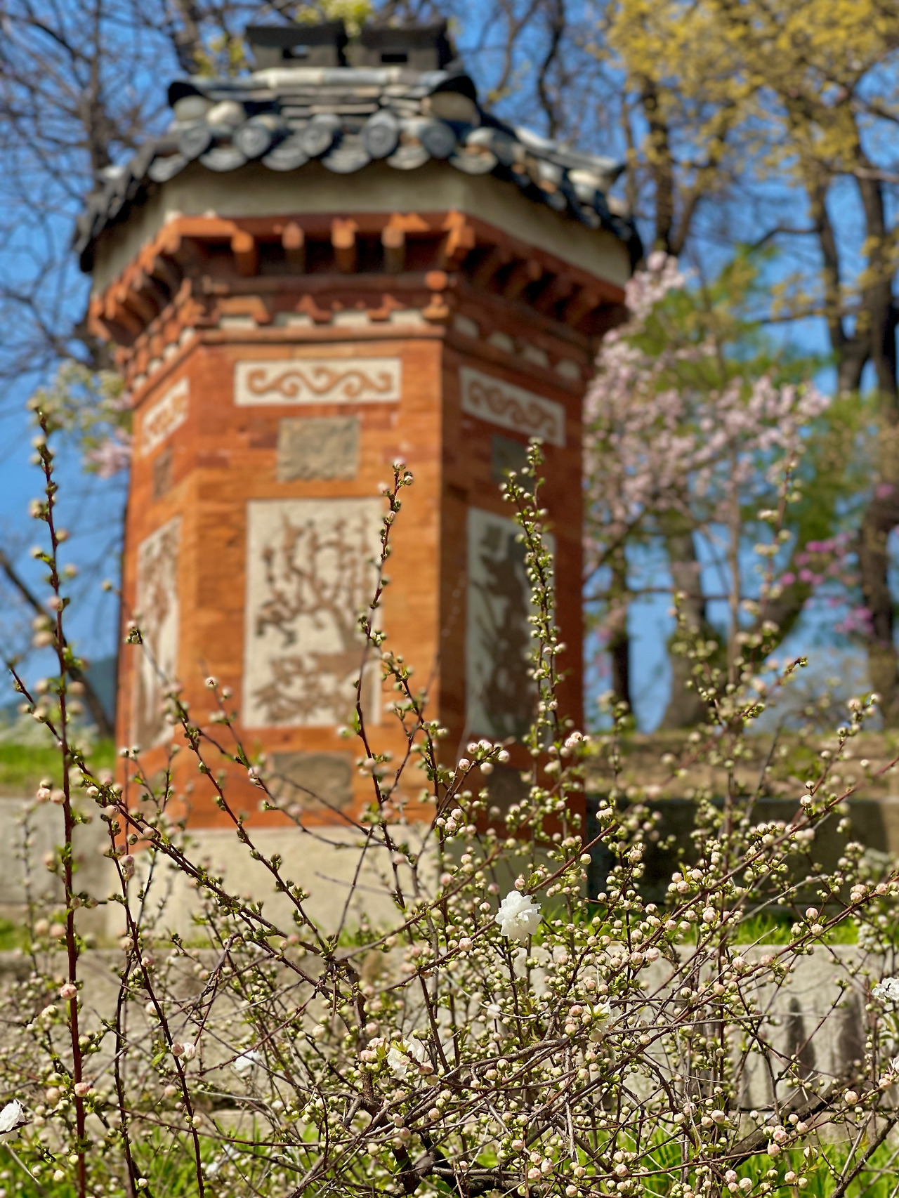 경복궁 교태전 아미산 봄 풍경06.jpg