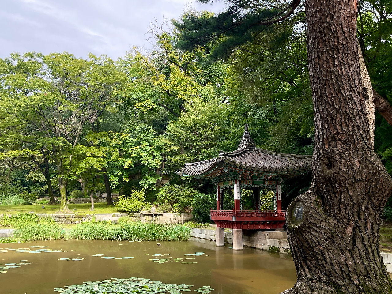 창덕궁 애련지(무언자적)03.jpg