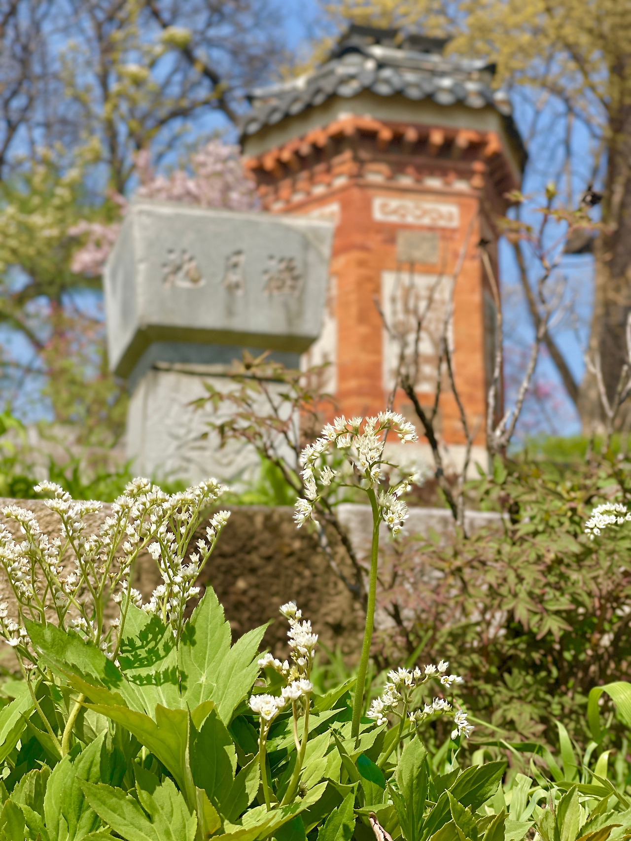 경복궁 교태전 아미산 봄 풍경04.jpg