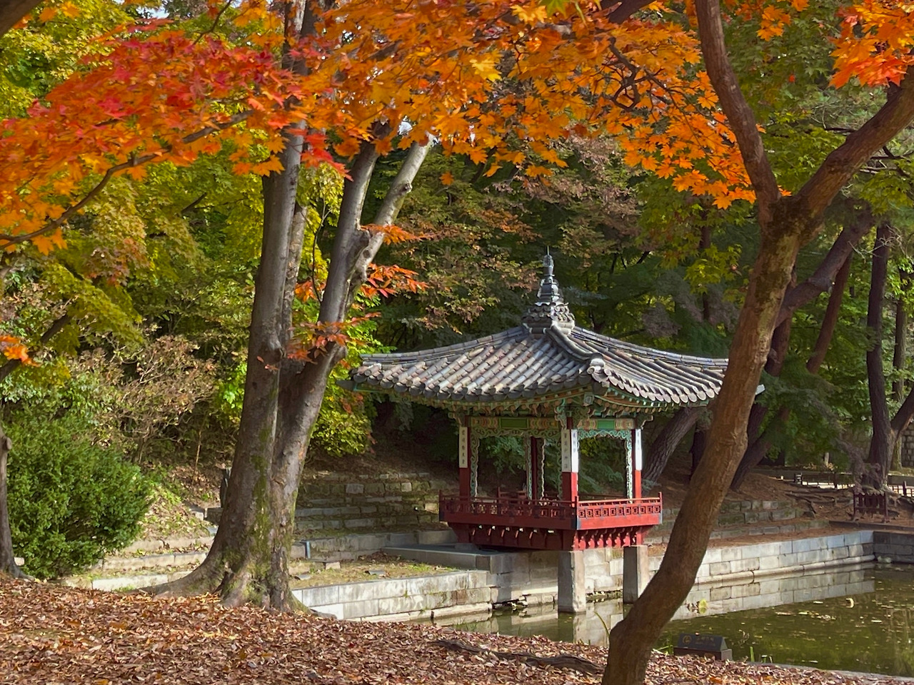 창덕궁 애련지_가을07.jpg