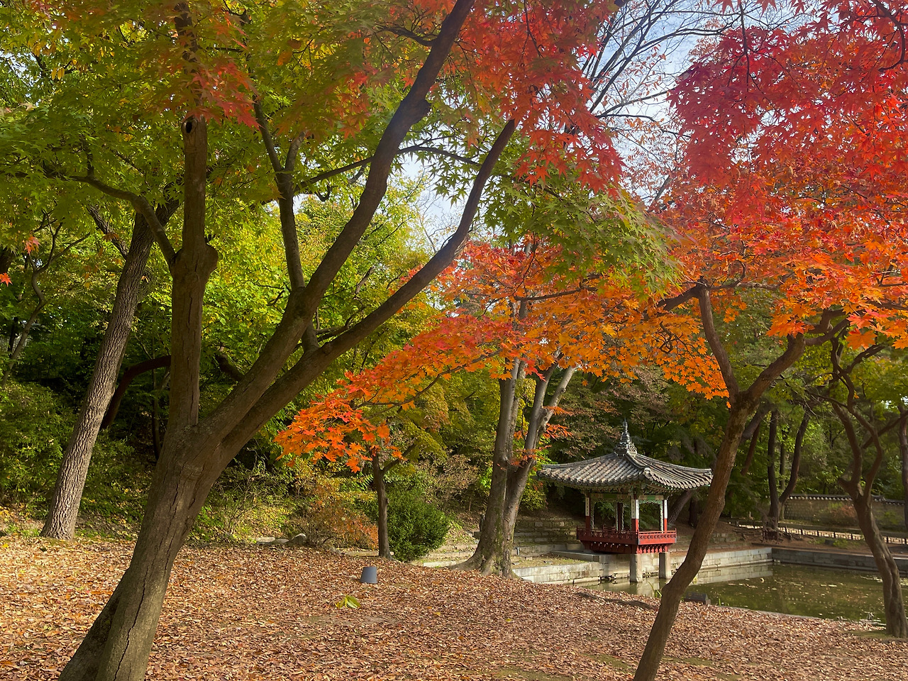 창덕궁 애련지_가을05.jpg