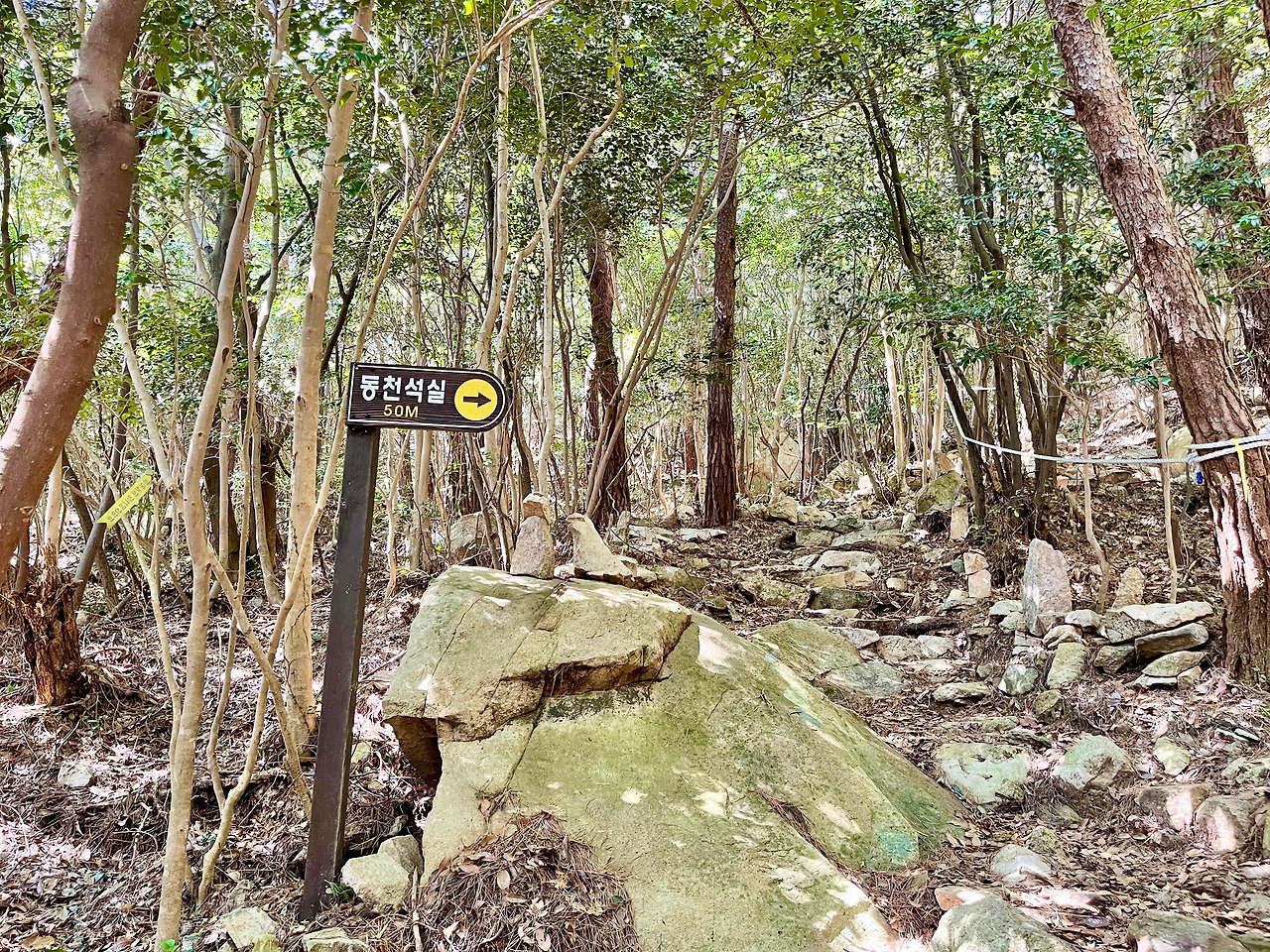 전남 보길도 - 276.jpg