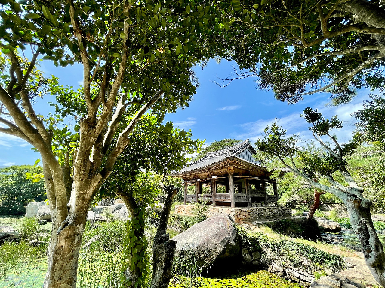 전남 보길도 - 231.jpg