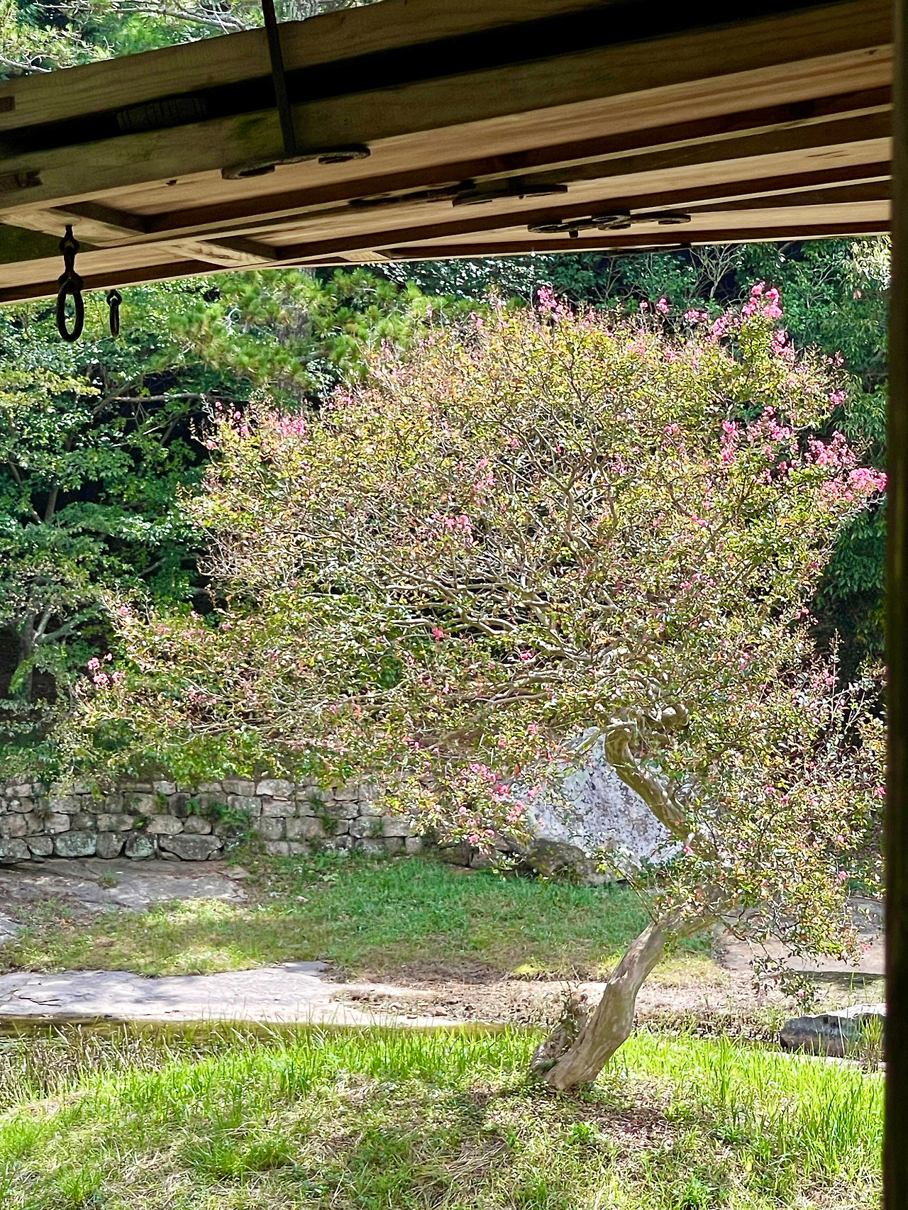 전남 보길도 - 215.jpg