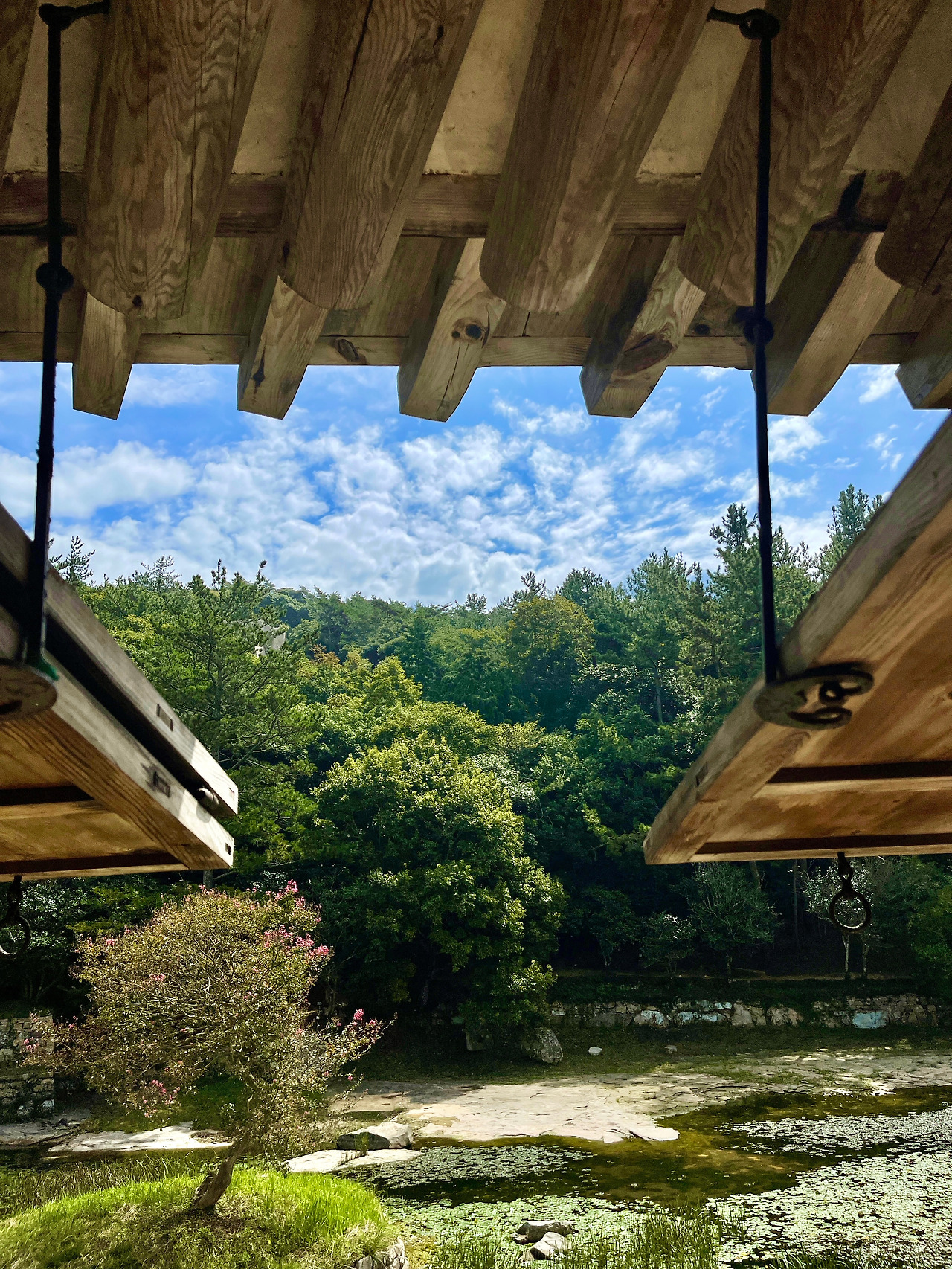 전남 보길도 - 176.jpg