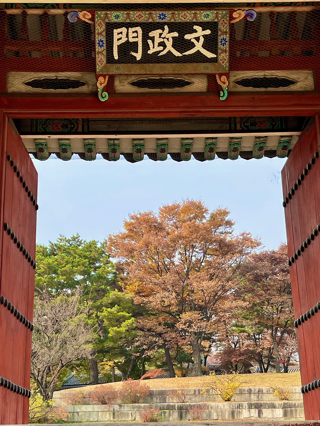 01참가 모집 포스터(65&66차 창경궁) 이미지03.jpg