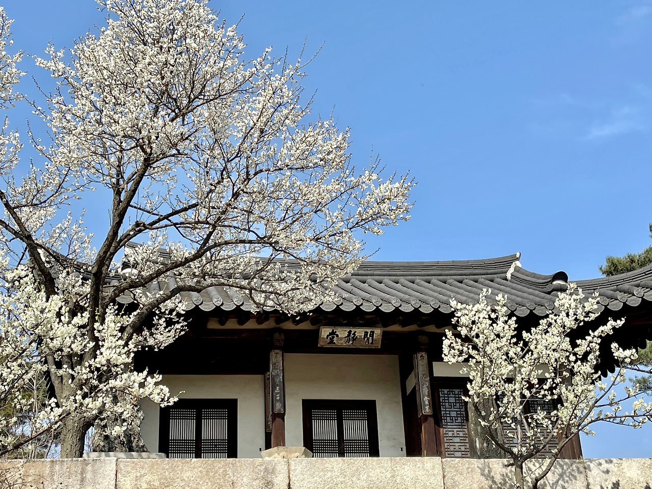 창덕궁 낙선재 후원 관람08.jpg