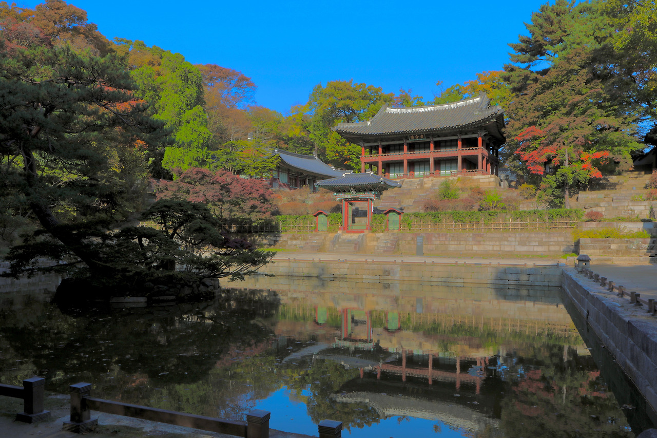 창덕궁 부용지02_가을.jpg