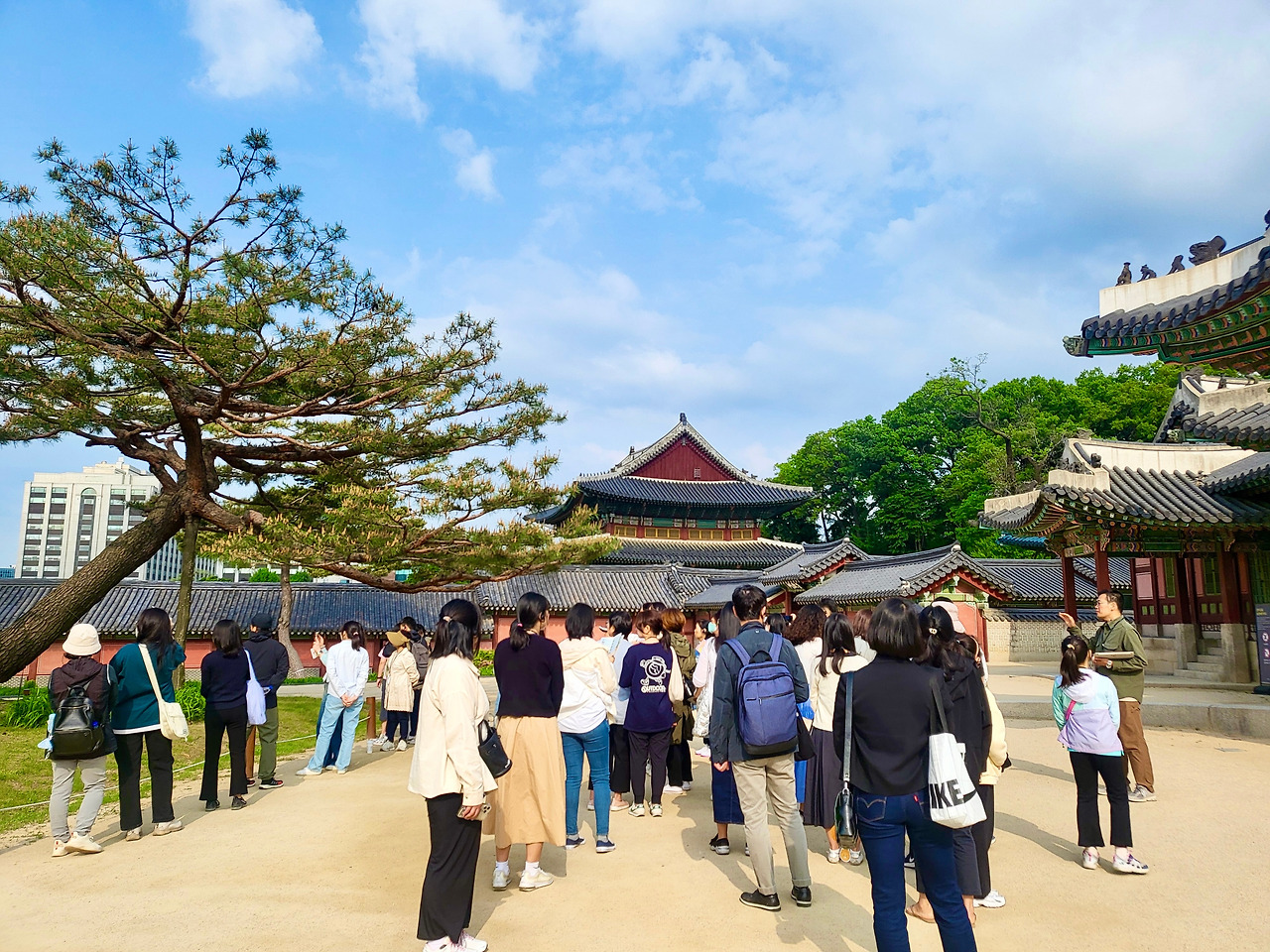 240501수 궁중문화축전 아침 궁을 깨우다(3일차) - 3.jpg