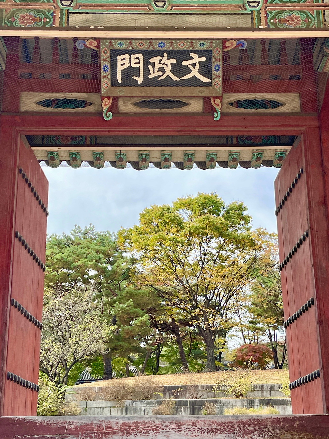 2023년 창경궁의 가을 - 65.jpg