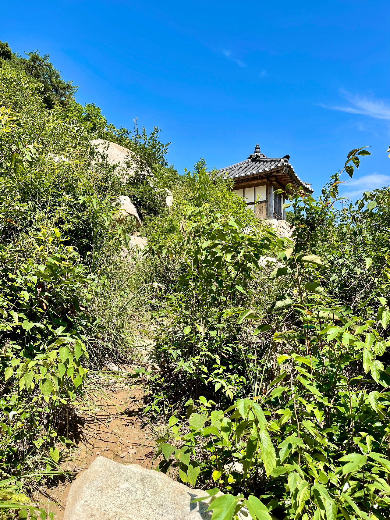 전남 보길도 - 278.jpg