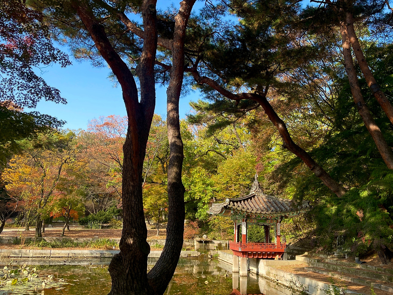 창덕궁 애련지_가을01.jpg