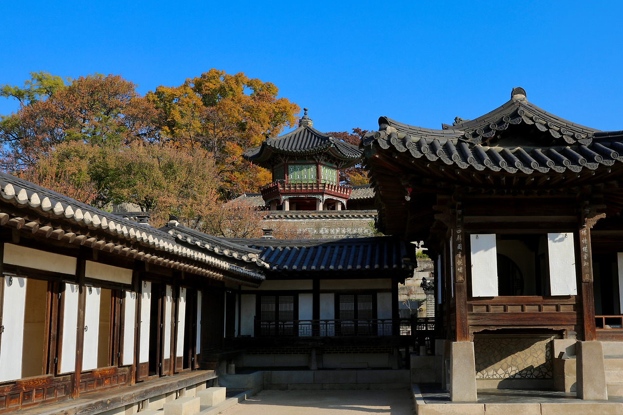 창덕궁 낙선재&상량정 가을03.jpg