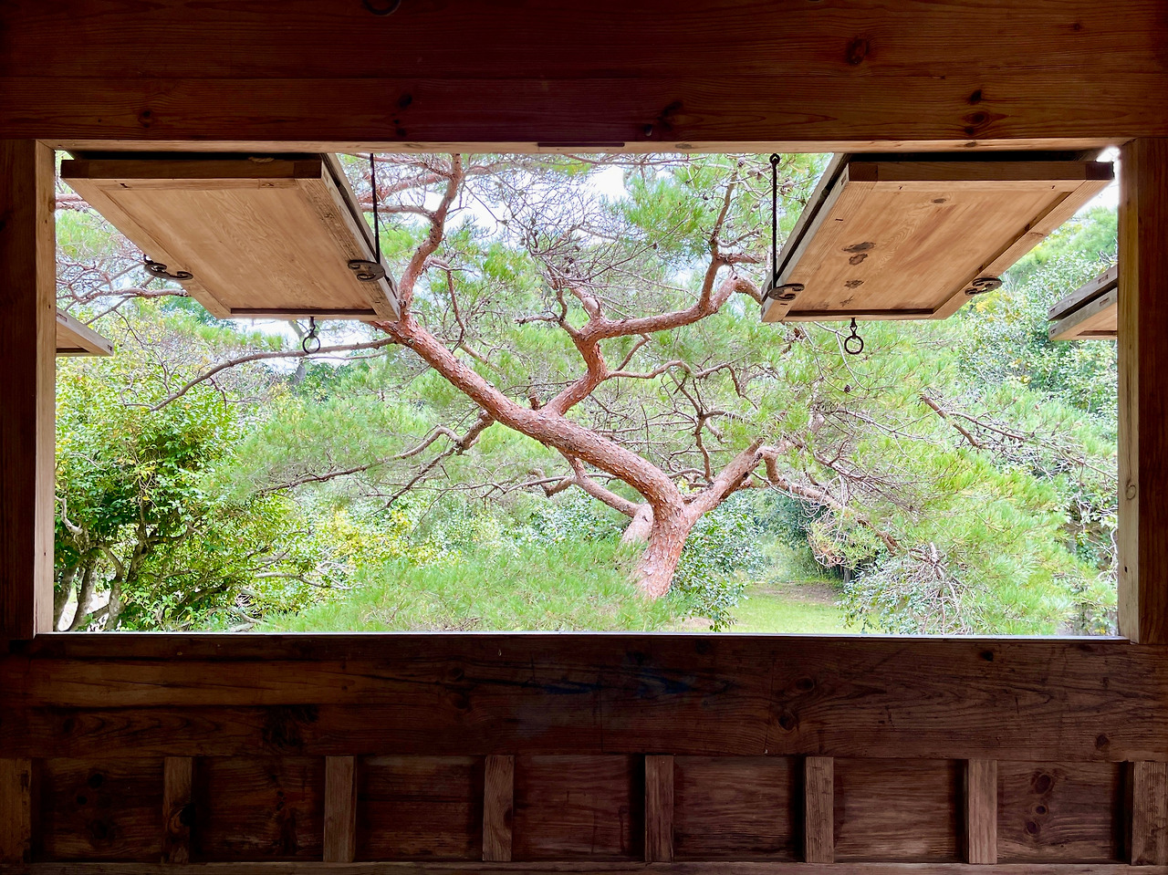 전남 보길도 - 150.jpg