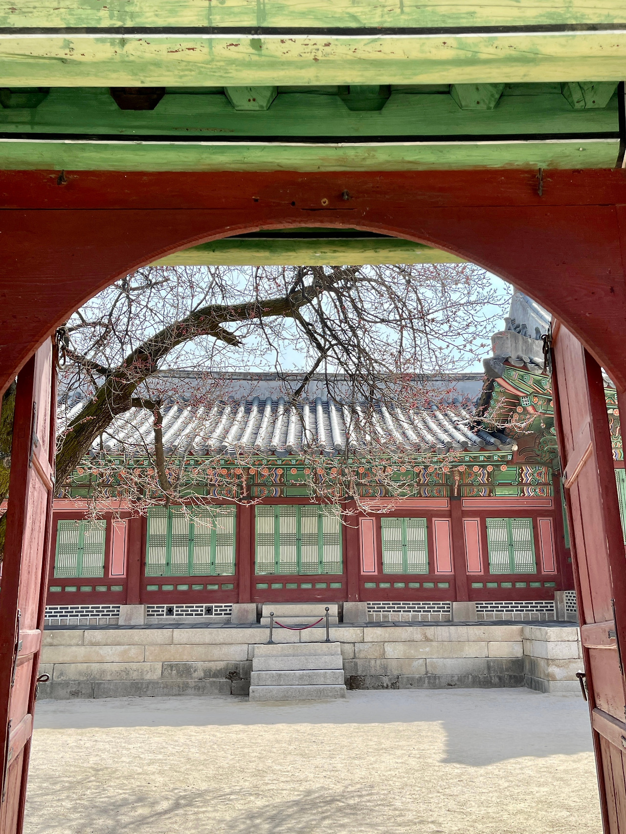 230323 자경전 봄꽃 사진 비교01.jpg