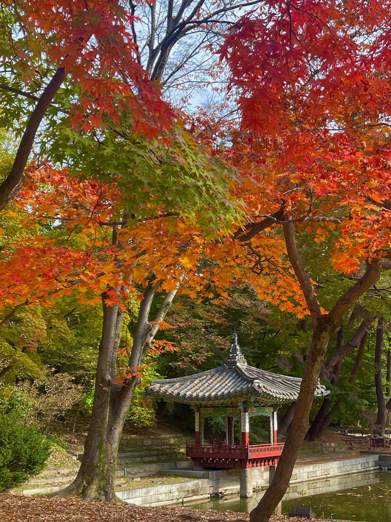창덕궁 애련지_가을06.jpg