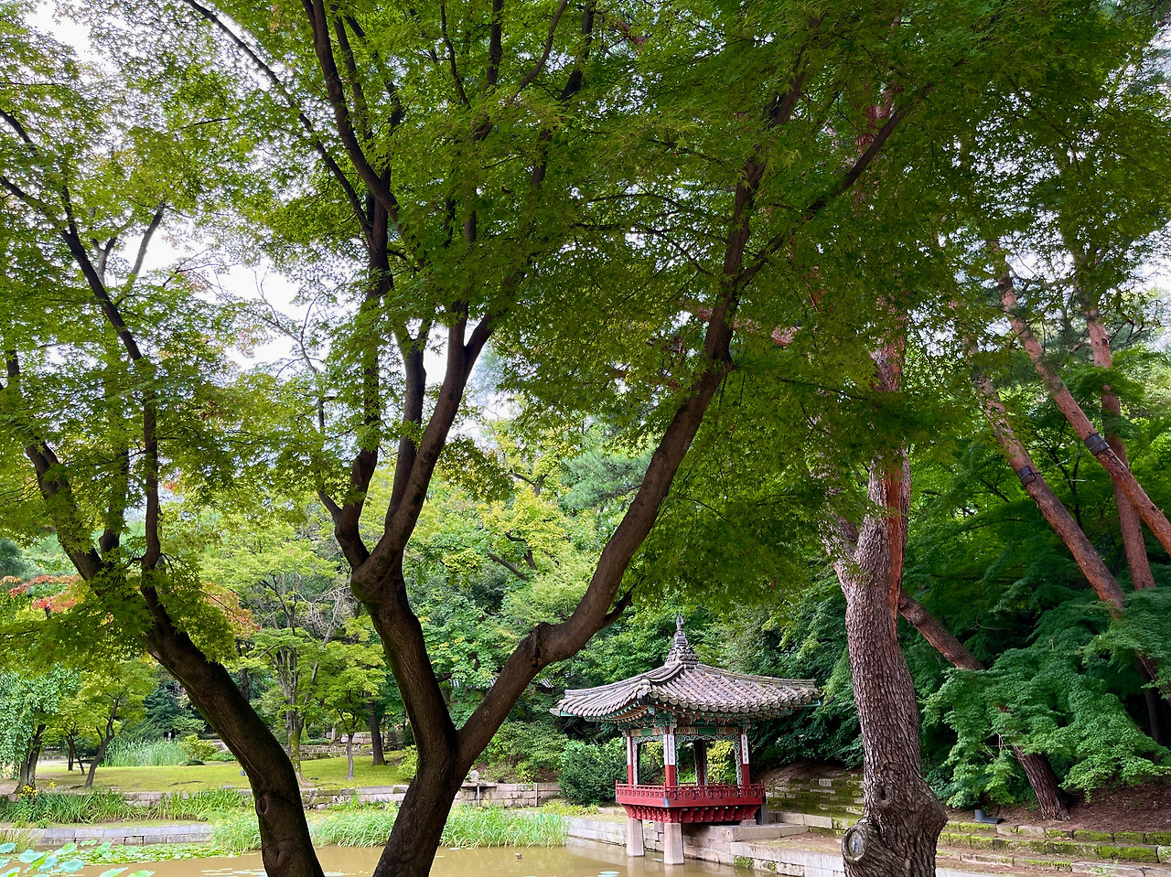 창덕궁 애련지(무언자적)02.jpg