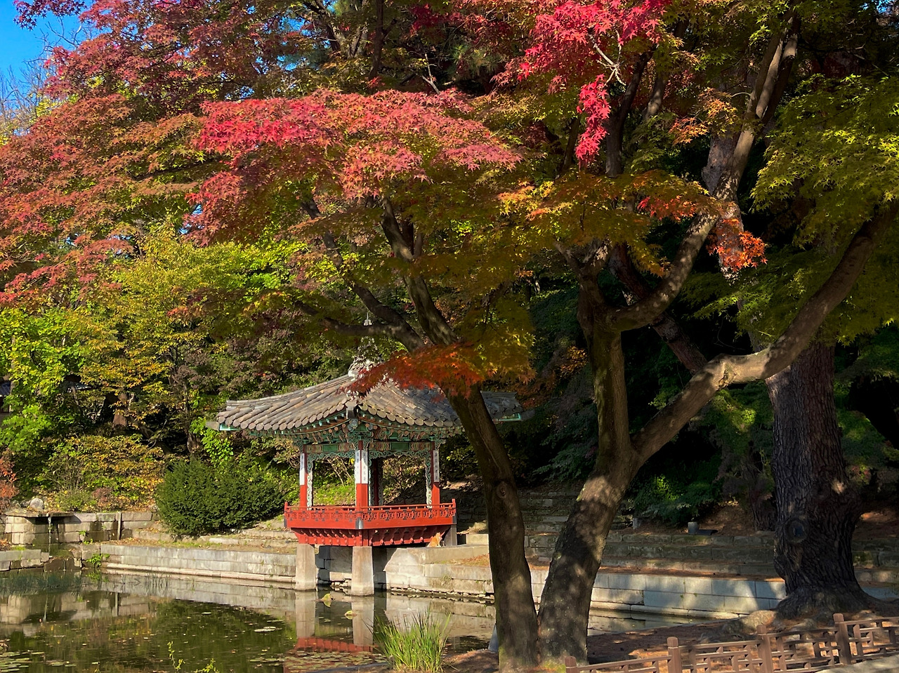창덕궁 애련지_가을02.jpg