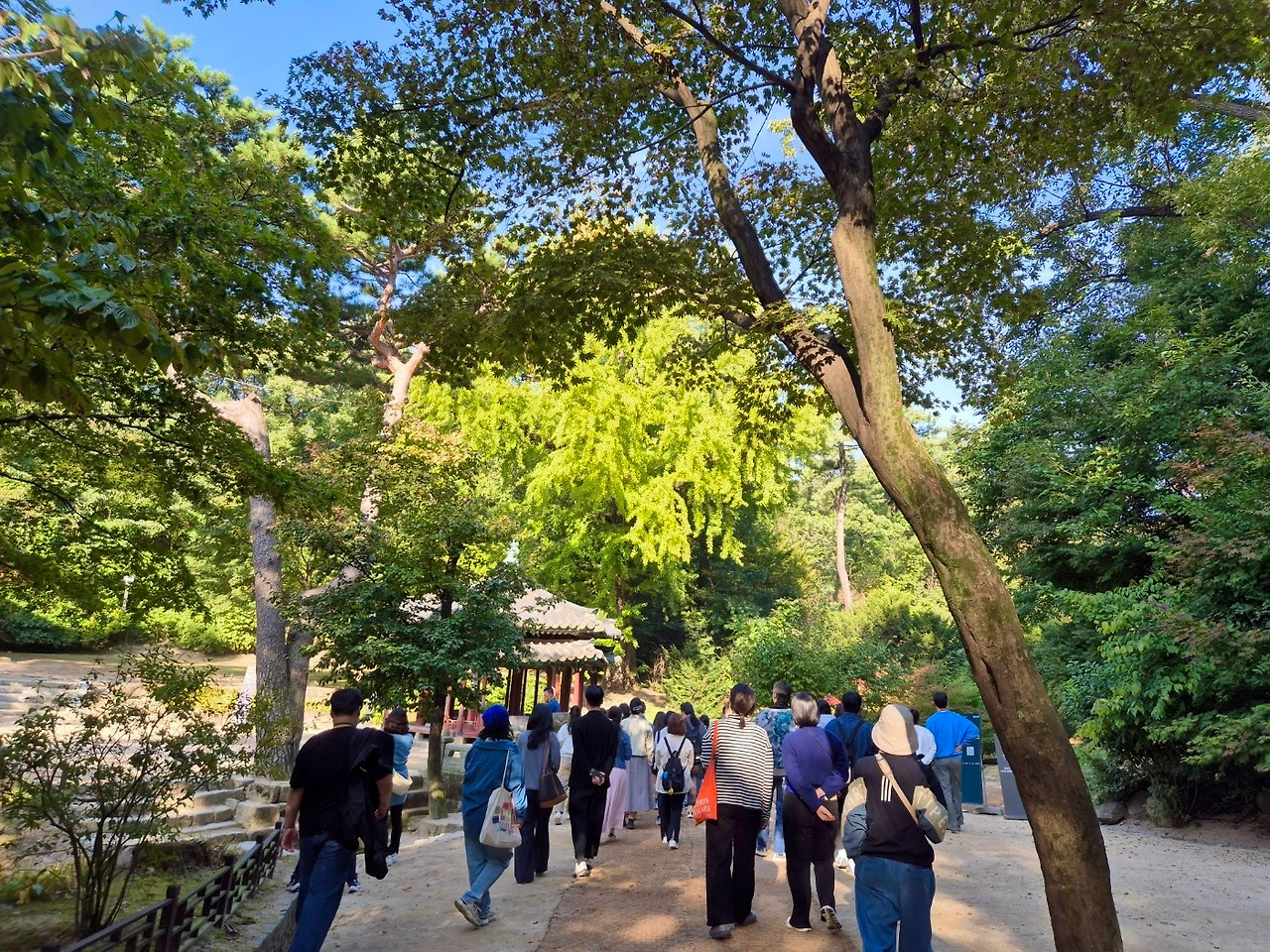 241013일 83차 궁중문화축전 아침 궁을 깨우다(5일차) - 10.jpg