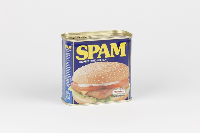 spam-g3d13e06e8_640.jpg