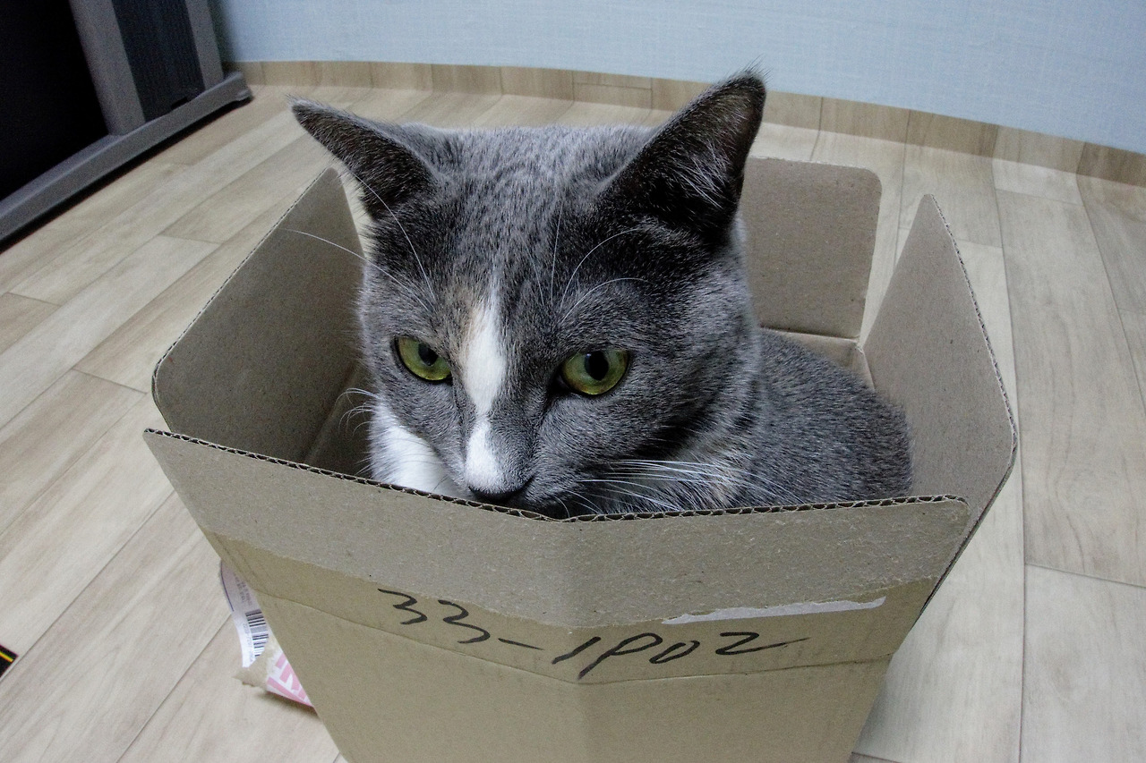 2014-12-16 22.13.14-1.jpg