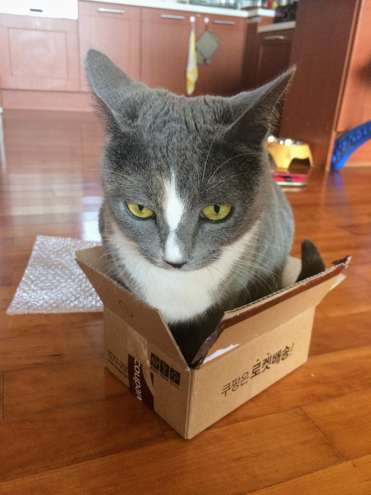 2015-03-14 14.17.17.jpg