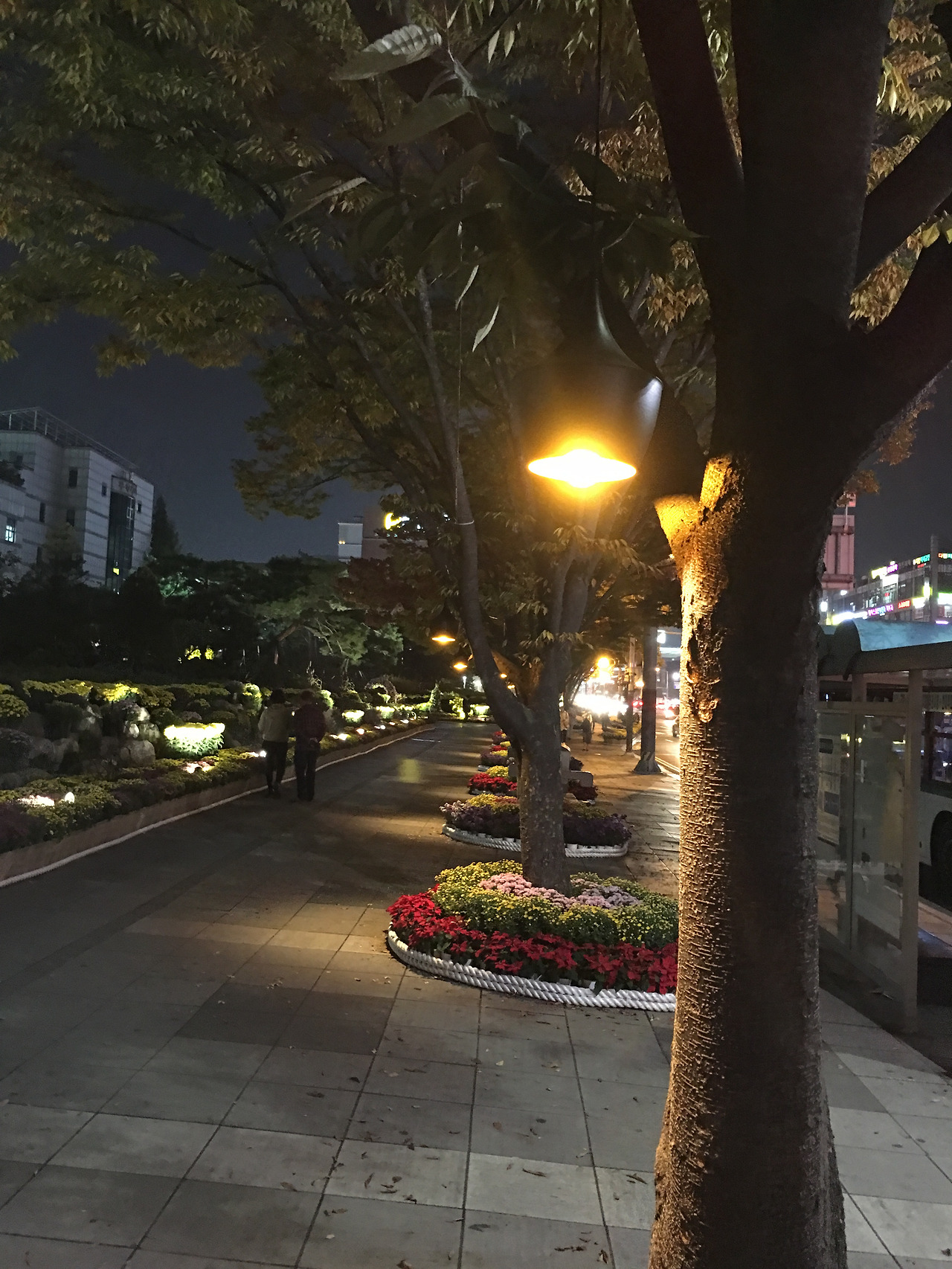 2016-10-18 19.11.38.jpg