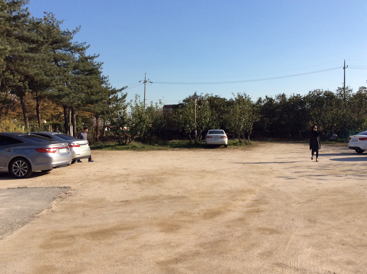 2015-10-31 15.17.35.jpg