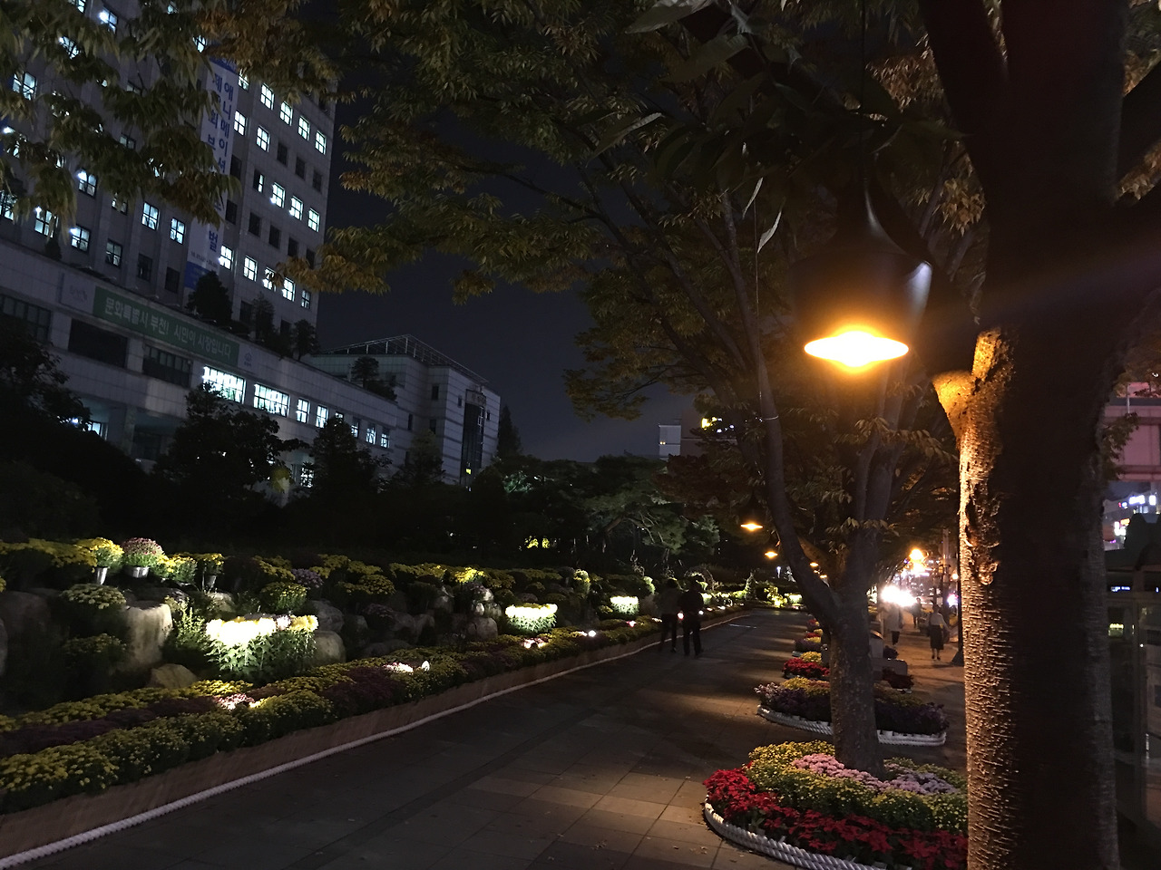 2016-10-18 19.11.45.jpg