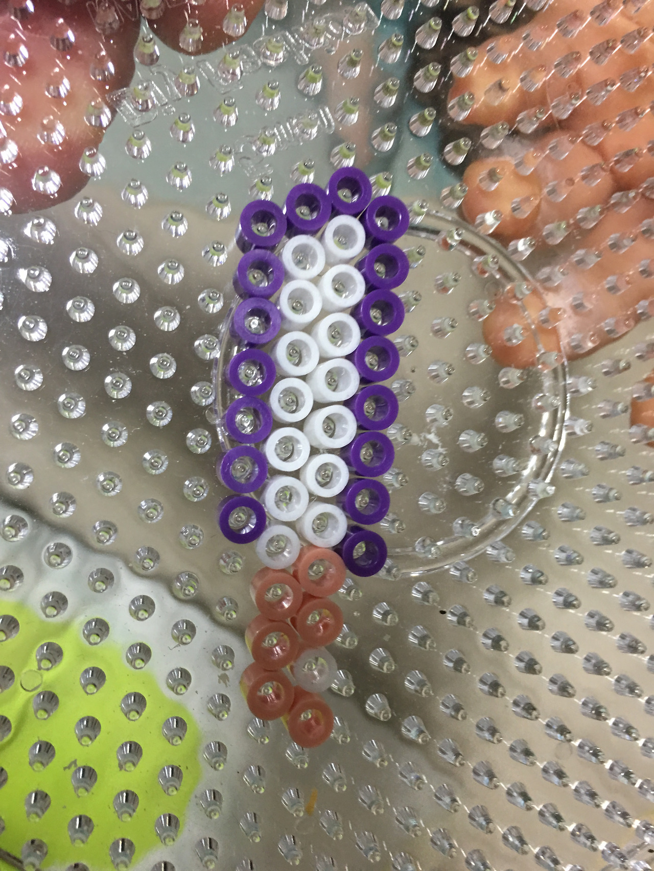 2016-01-16 10.01.28.jpg