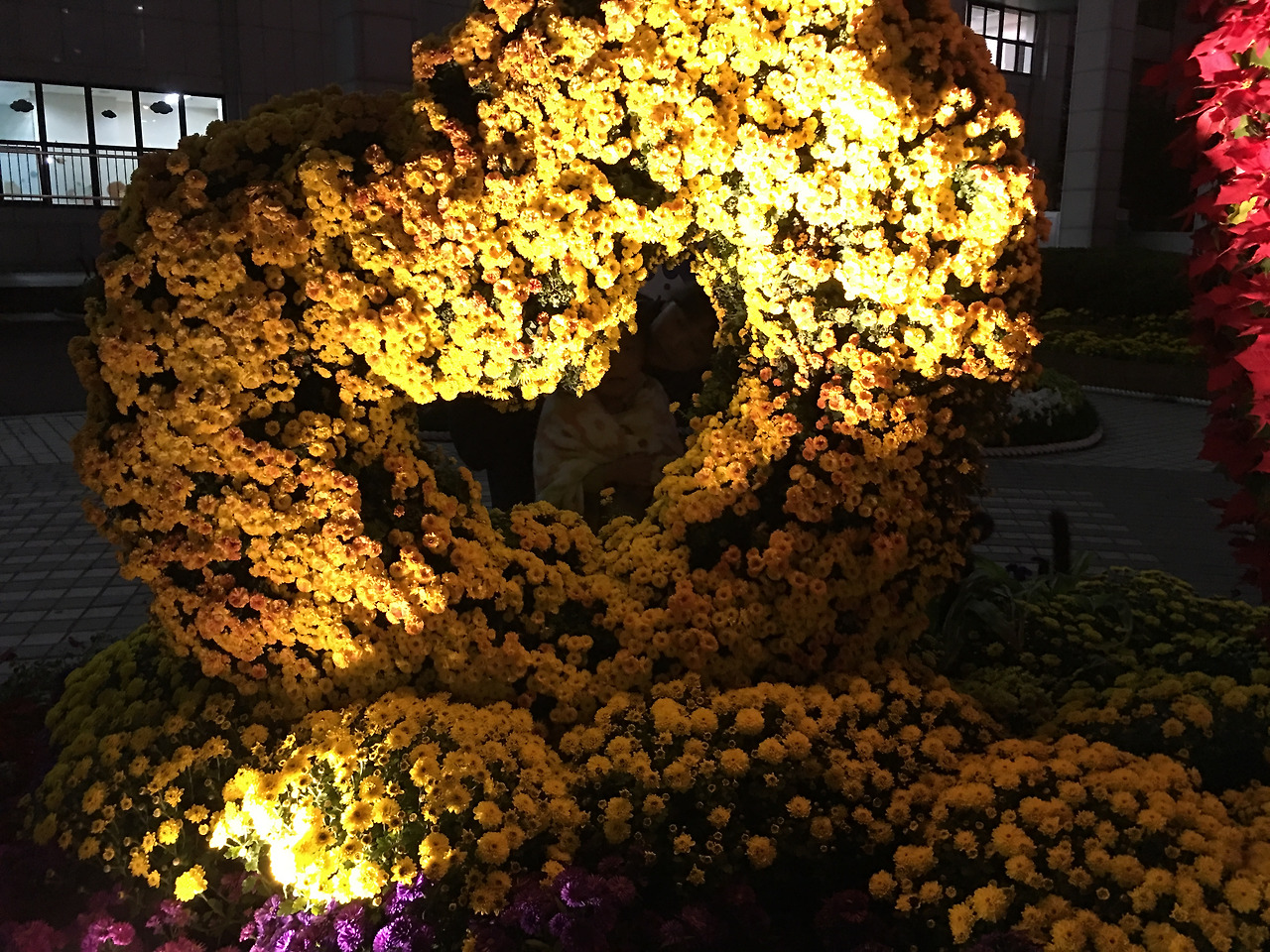 2016-10-18 19.01.06.jpg