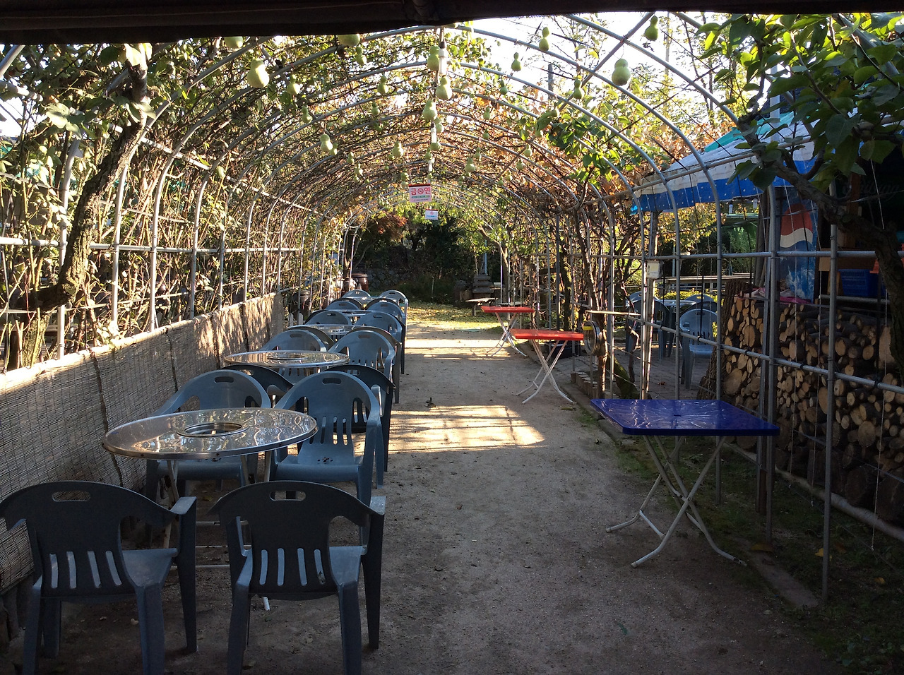 2015-10-31 15.18.37.jpg