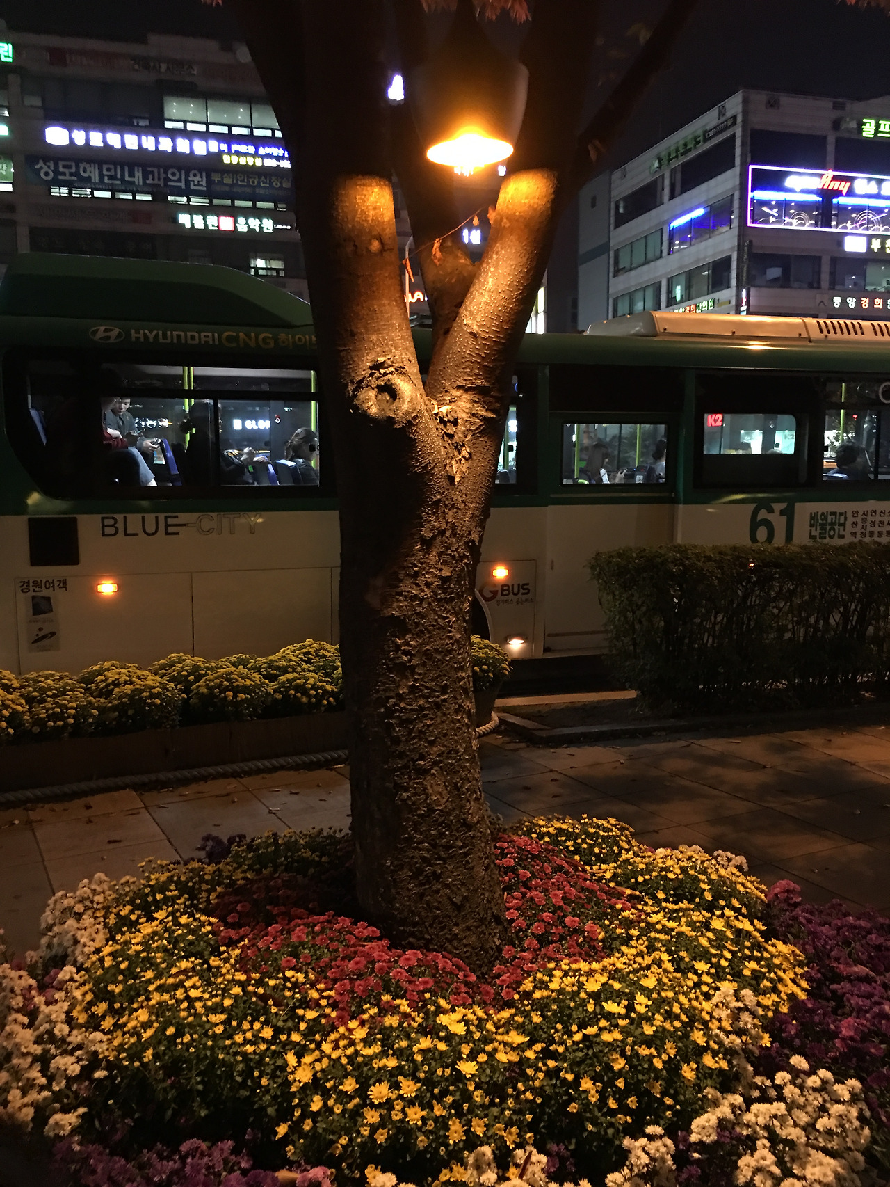 2016-10-18 19.10.51.jpg