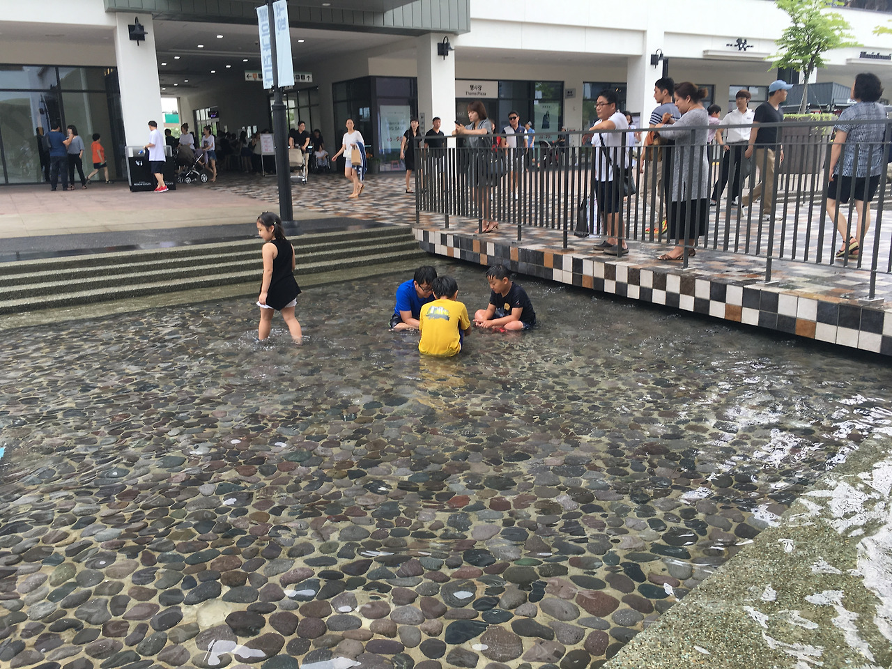 2016-07-24 13.53.39.jpg