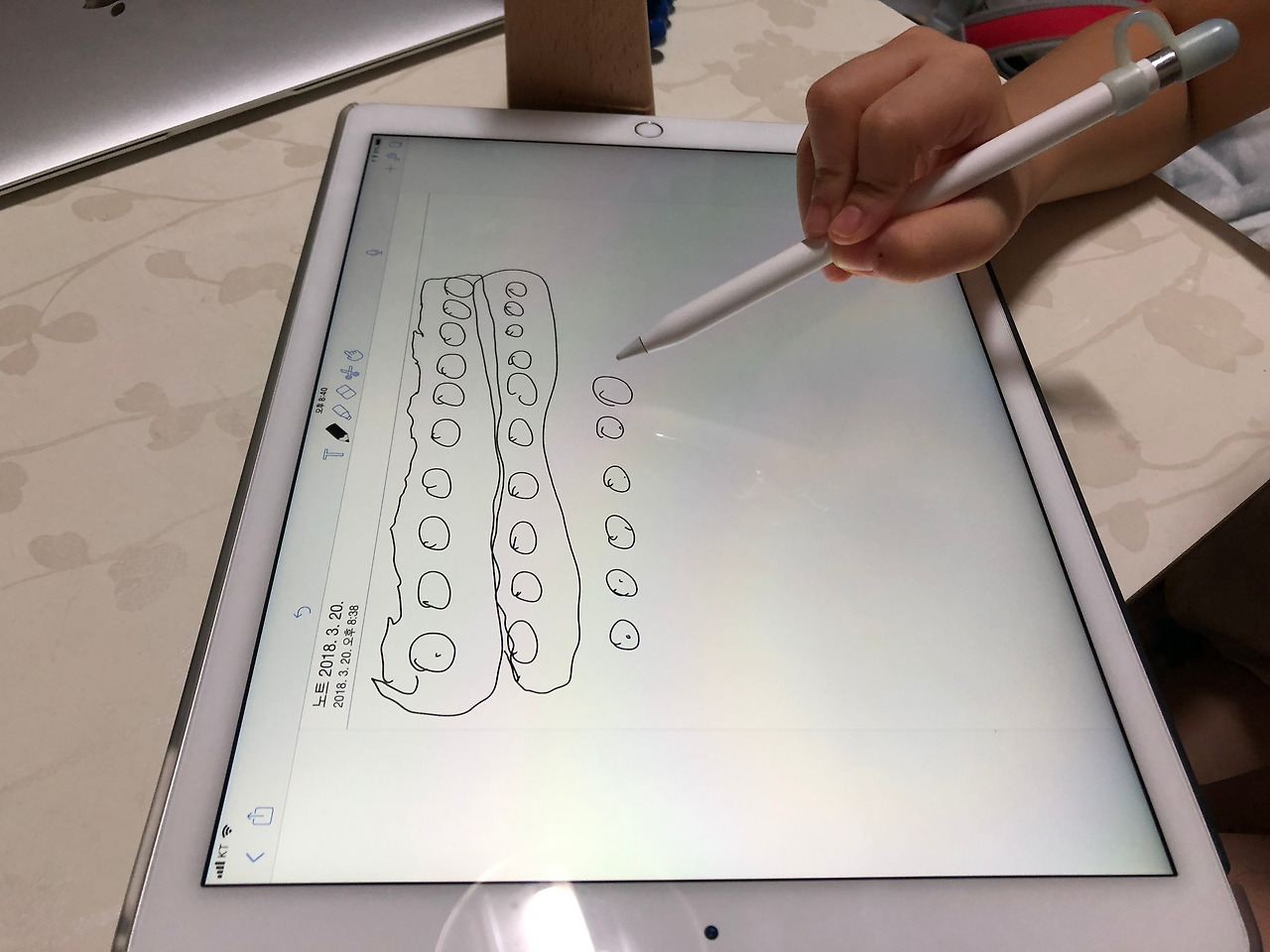 사진 2018. 3. 20. 오후 8 40 30.jpg