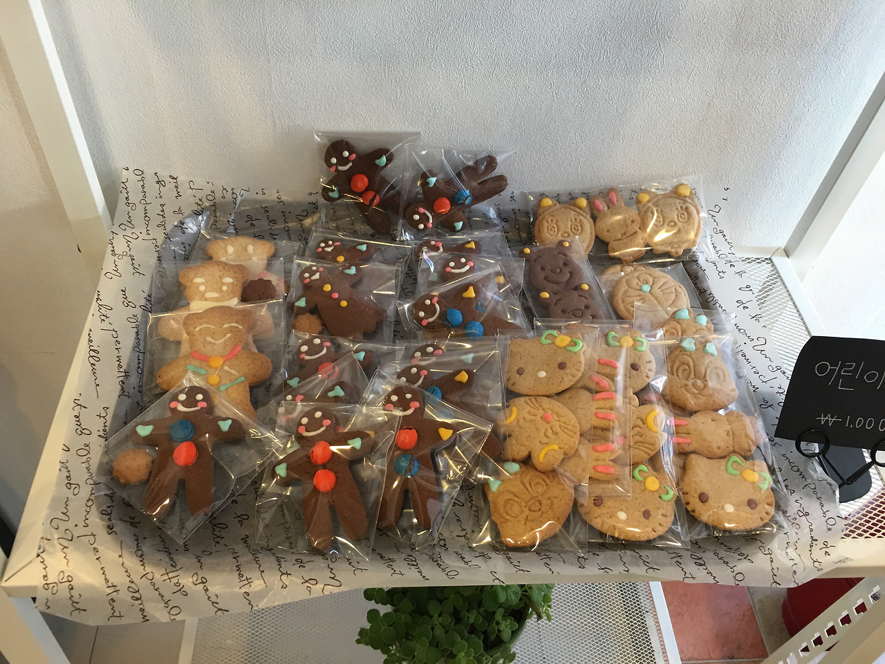 2016-03-10 13.05.19.jpg