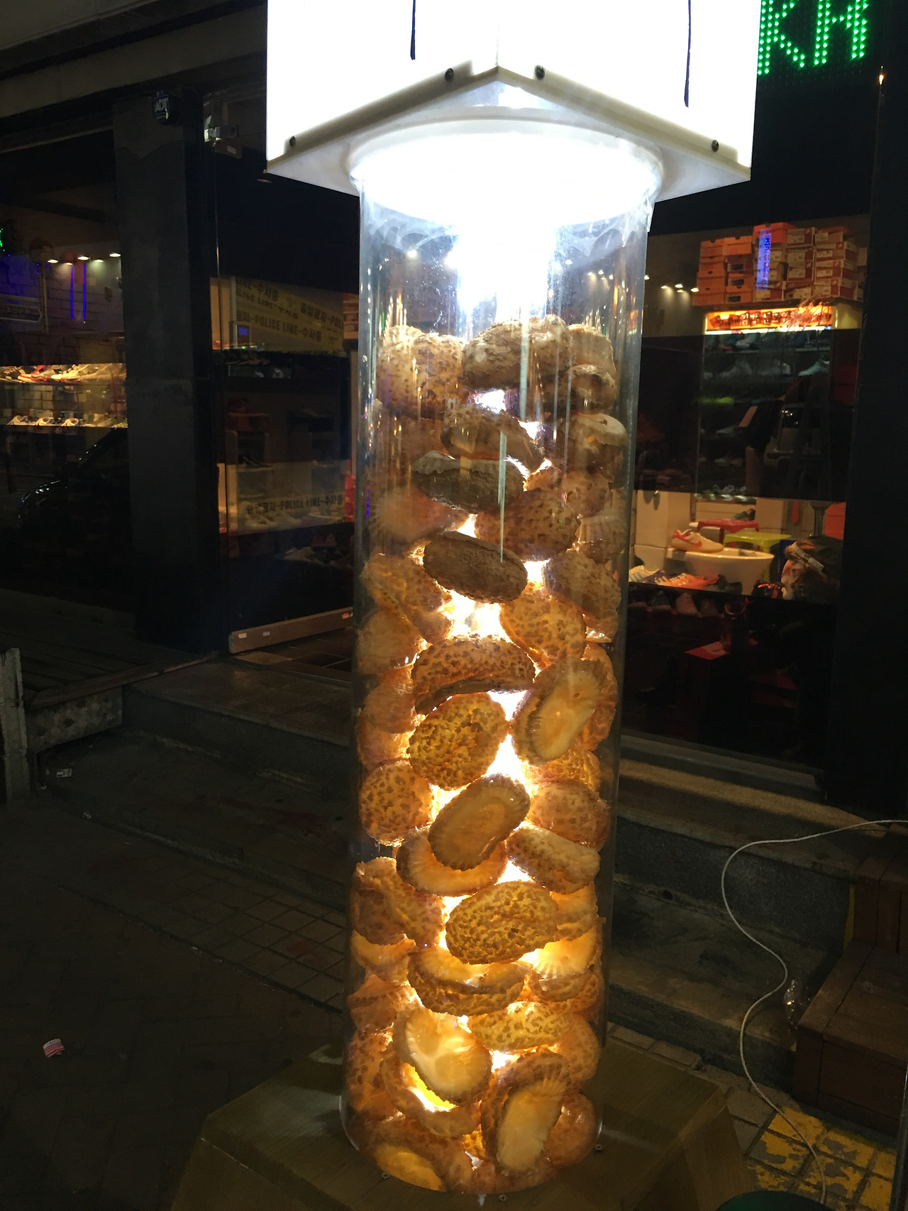 2016-03-27 19.31.15.jpg