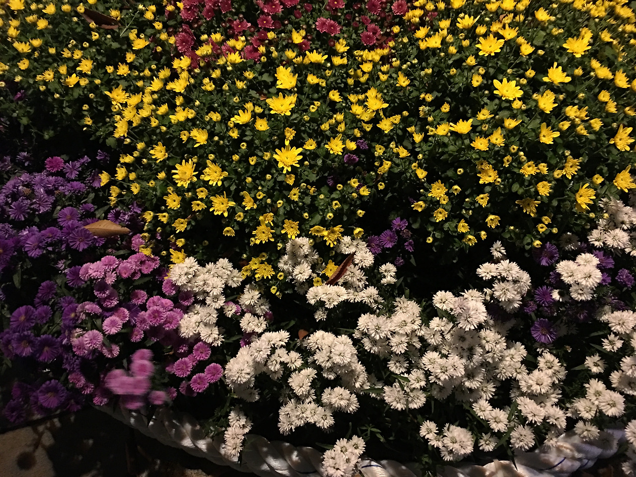 2016-10-18 19.10.39.jpg