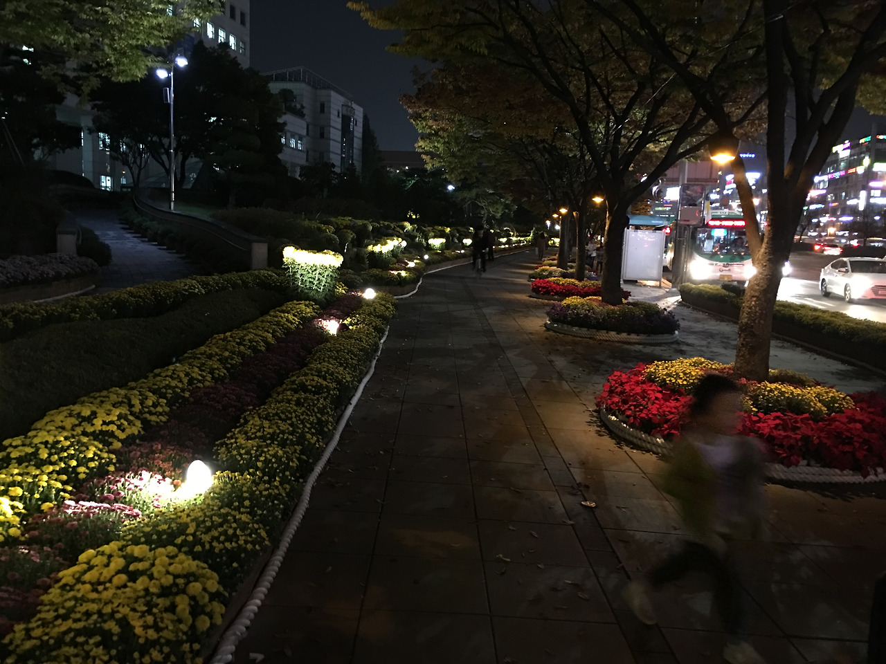 2016-10-18 19.10.30.jpg