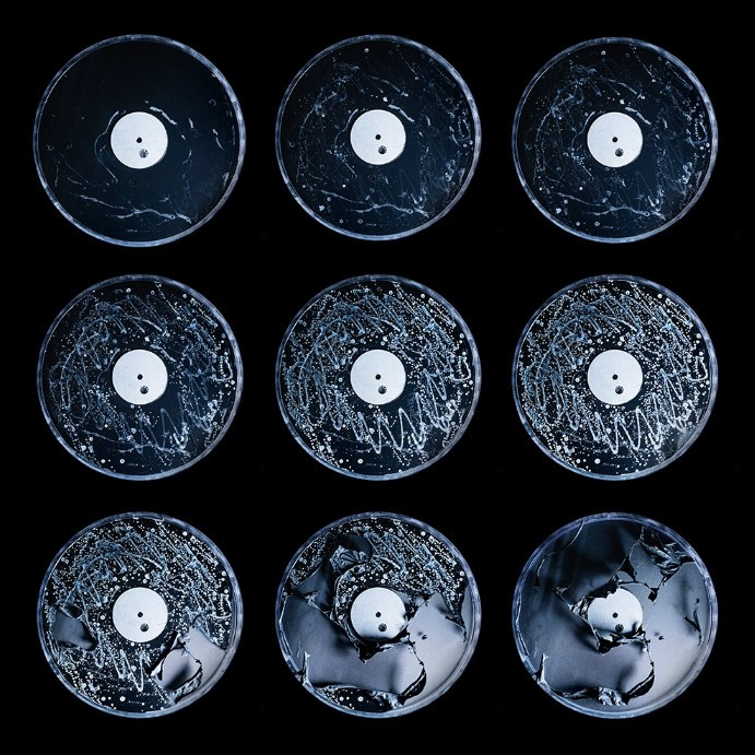 Psients × Jeffrey J. Kim Signal.jpg