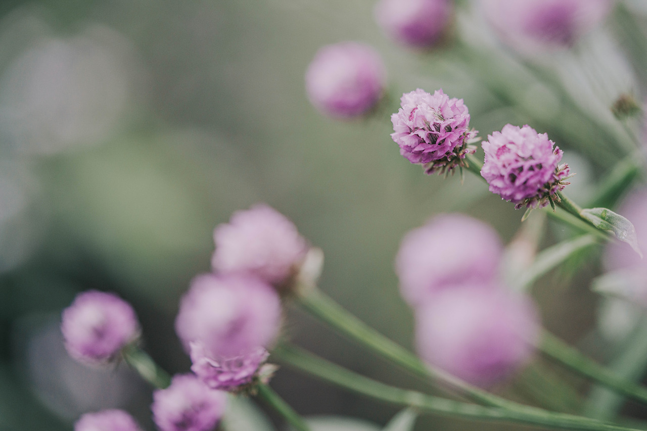 DSC00370-9월 황학산수목원.jpg