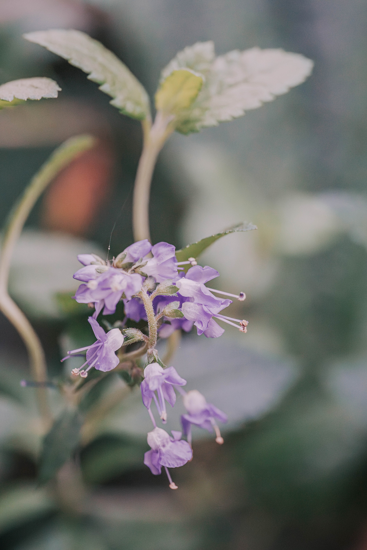 DSC00448-향상됨-노이즈 감소.jpg