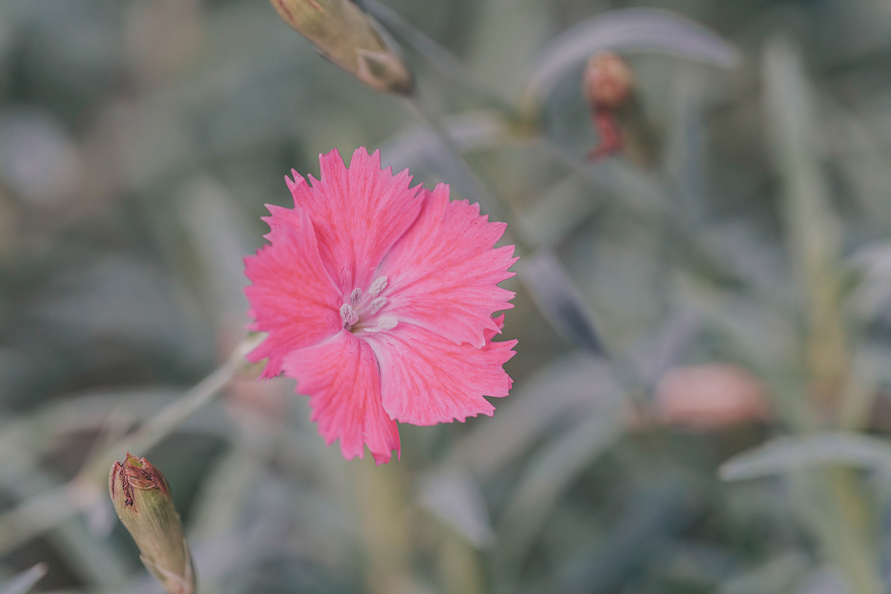 DSC00378-향상됨-노이즈 감소.jpg