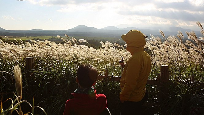 movie_image (14).jpg