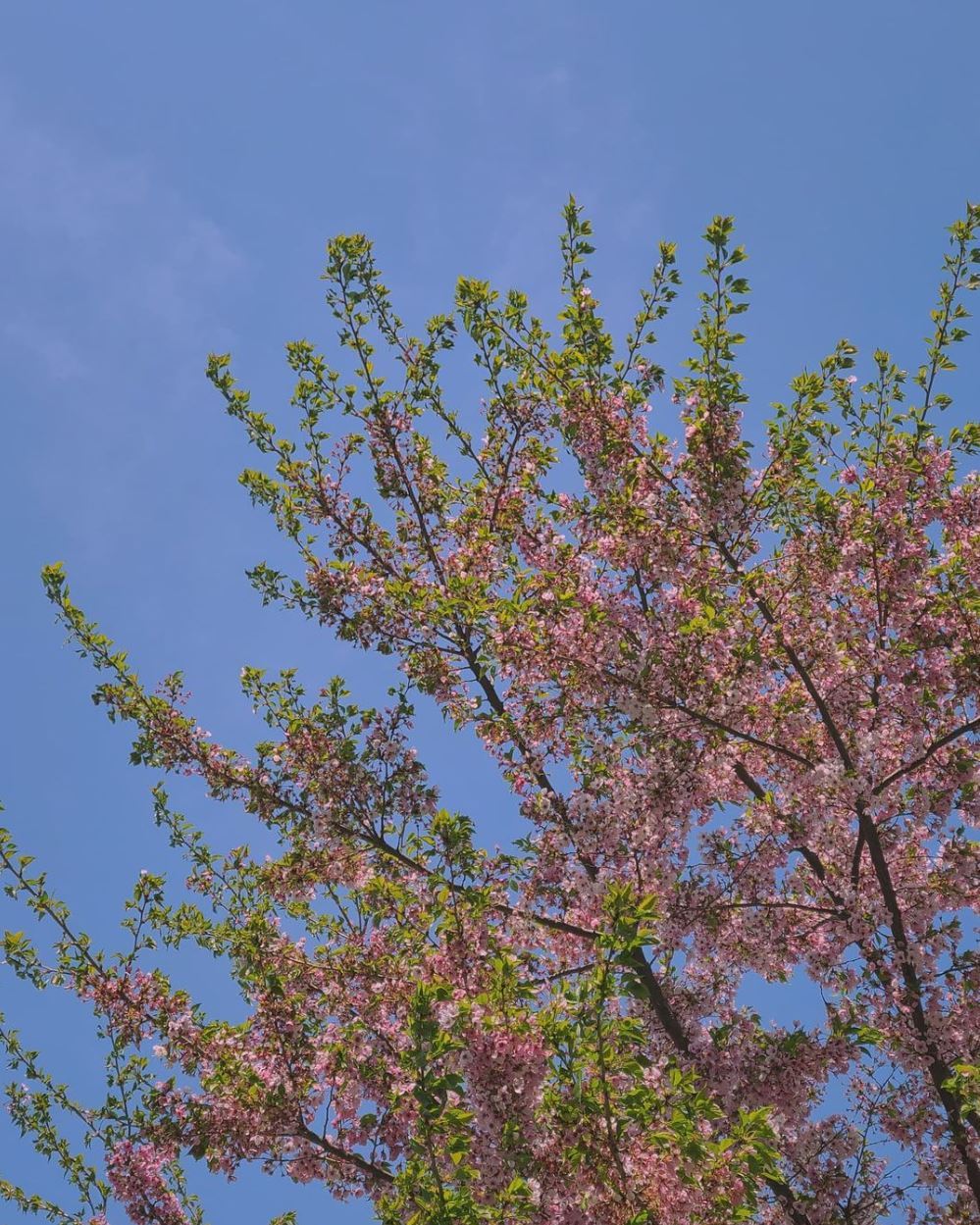 2022-07-23 12_55_41-Jooho(@jooho201) • Instagram 사진 및 동영상 - Chrome.jpg