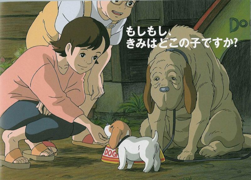 6 고로의 대산책5.jpg