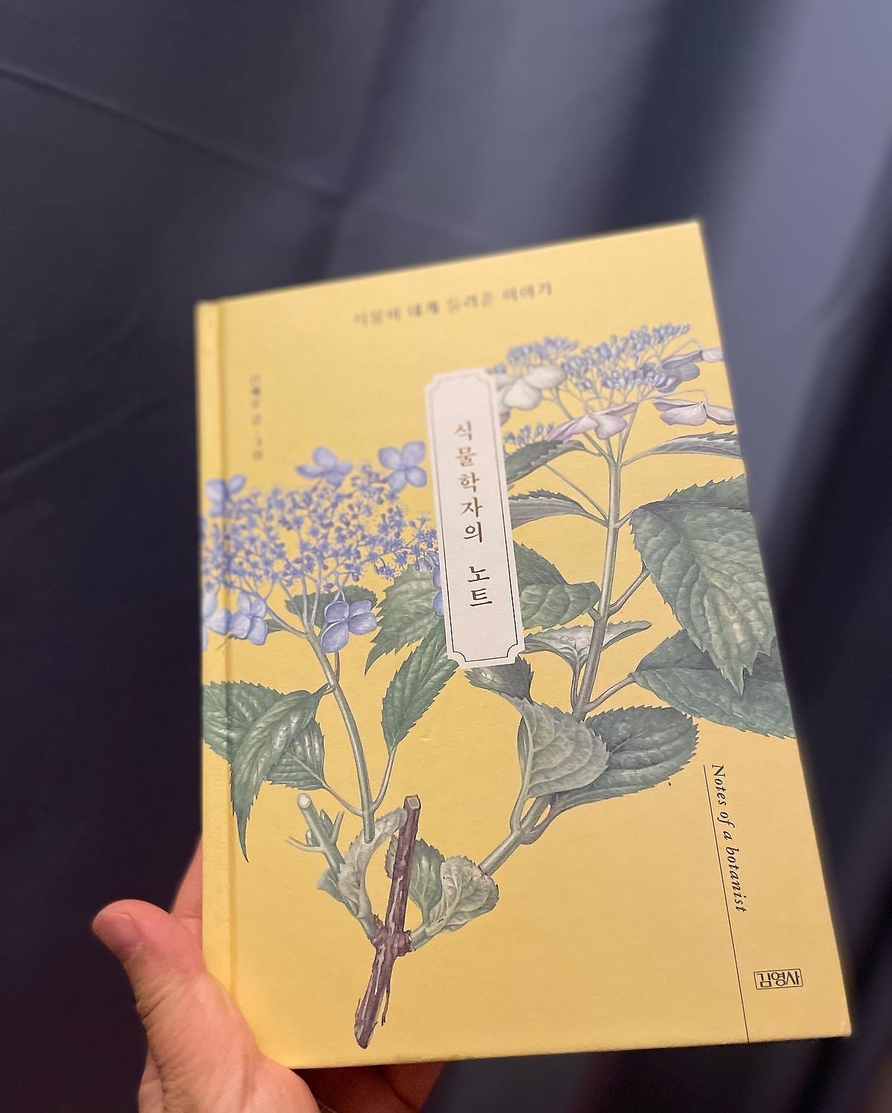 무료 카지노 게임